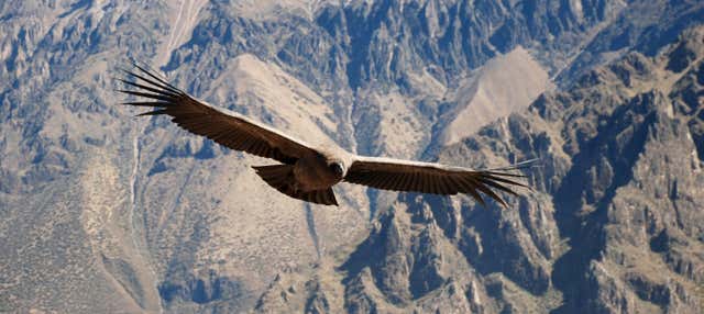 Excursion privée depuis Arequipa