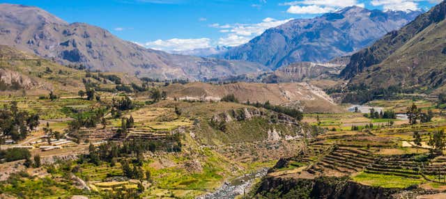 Excursión de 2 días al valle del Colca finalizando en Cusco
