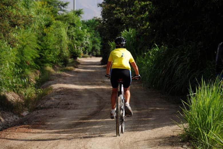 Bike tour through Arequipa's countryside