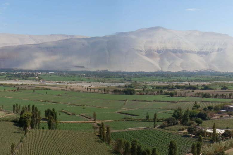 Visite d'un domaine viticole
