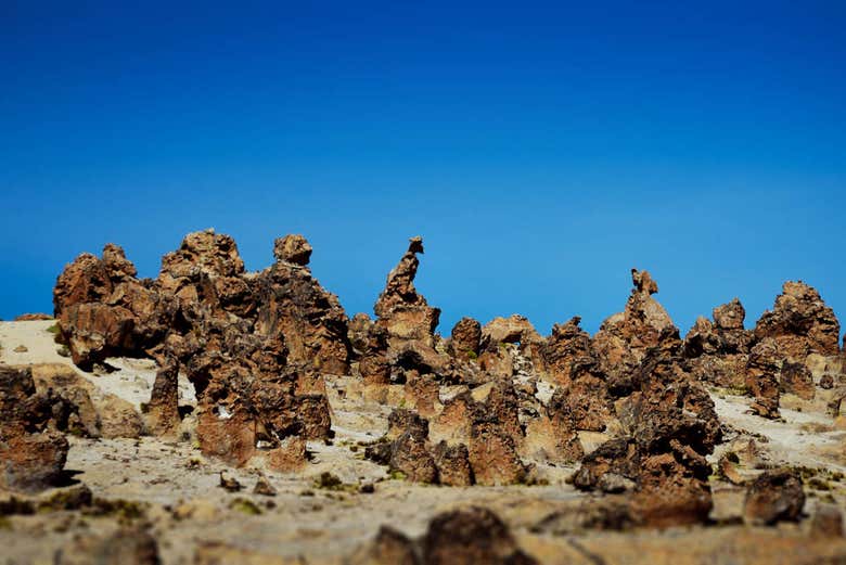 Bosque de pedras Imata