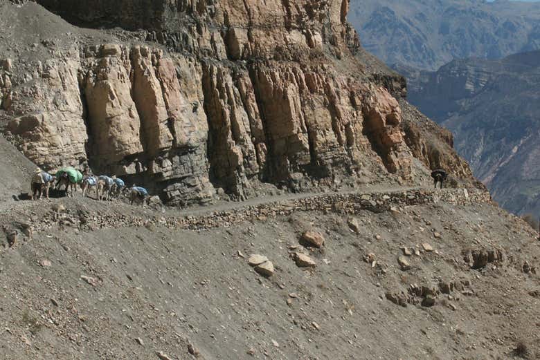 Caminata por el cañón de Cotahuasi