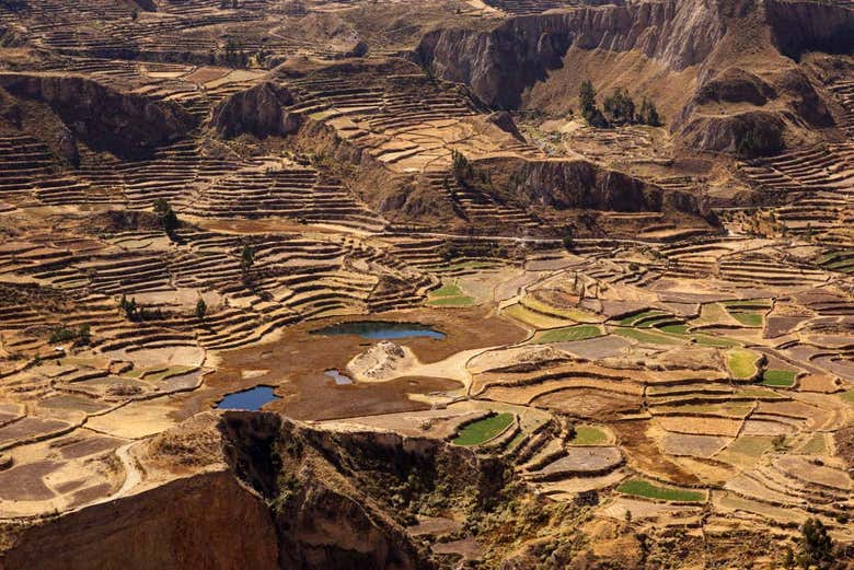 Cânion do Colca