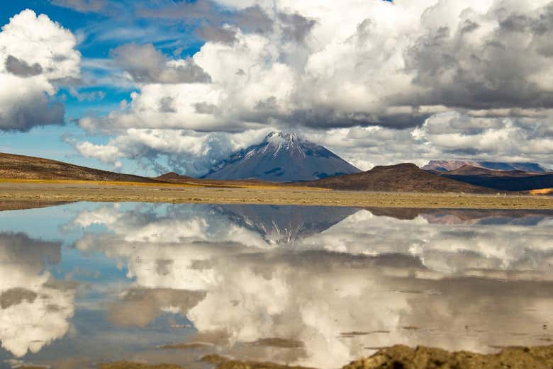 Laguna de Salinas
