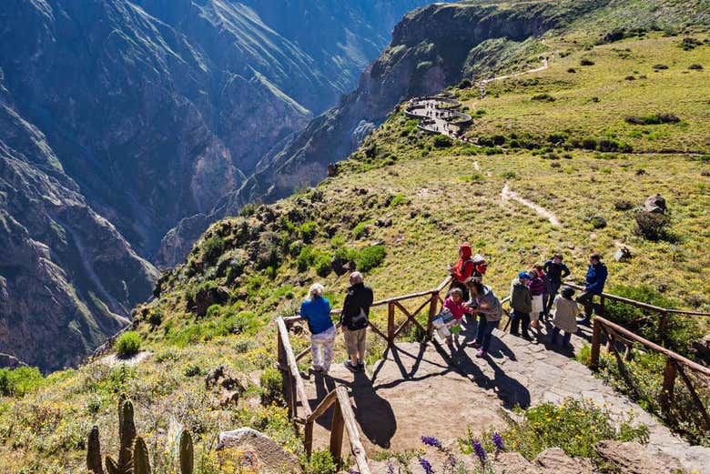 Disfrutando de las vistas del Cañón del Colca