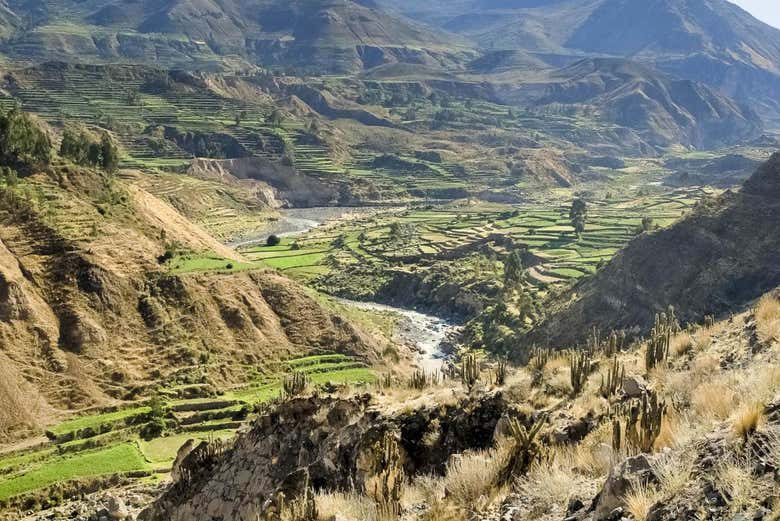 Paisajes del Cañón del Colca