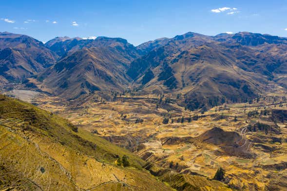 Tour de 4 días por Arequipa y el Cañón del Colca