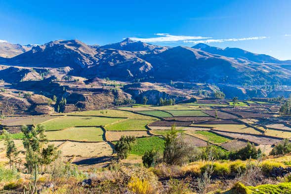 Arequipa Countryside Bike Tour