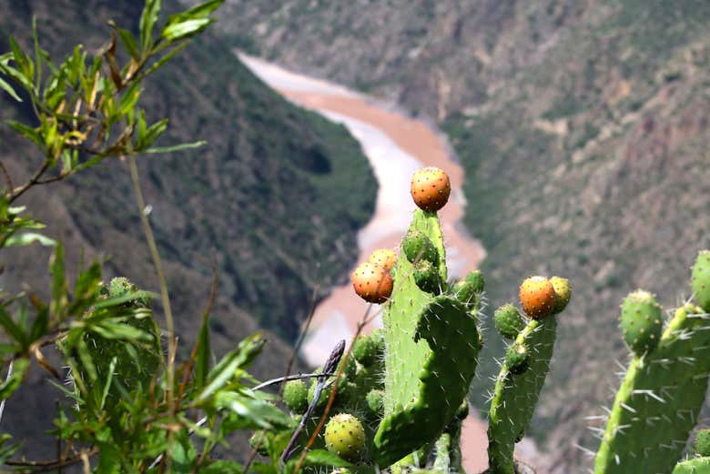 Landscapes of Huatuscalla