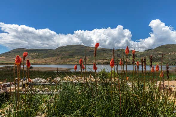 Tour por el valle de Cajamarca