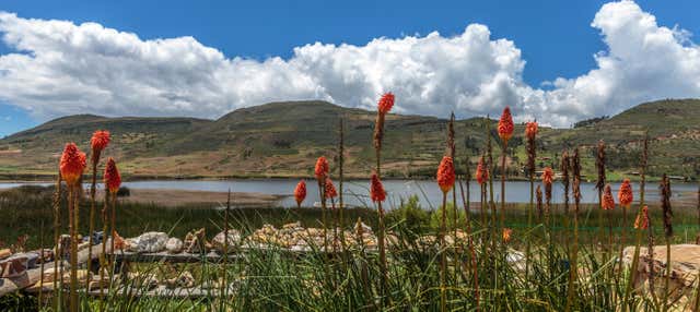 Cajamarca Valley Tour