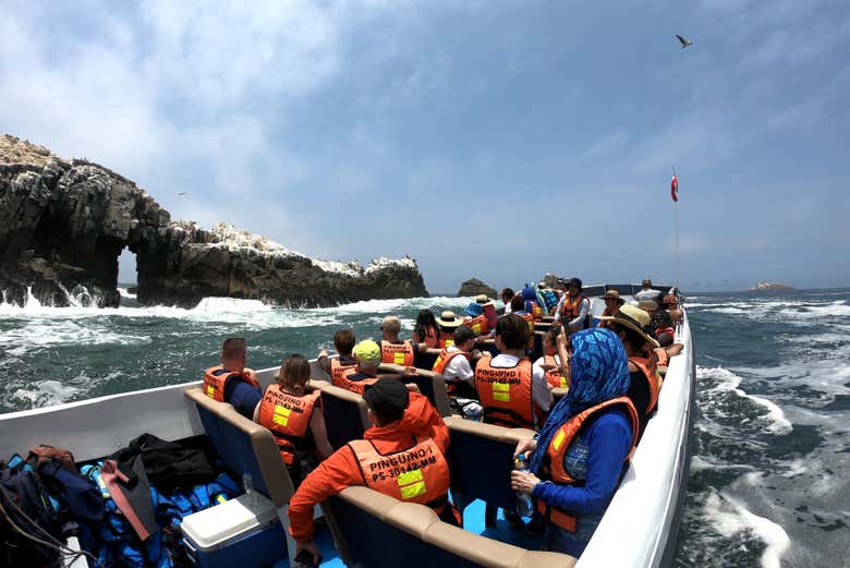 Palomino Islands boat excursion