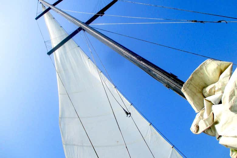 The ship's sails
