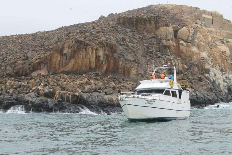 Barco en las Islas Palomino