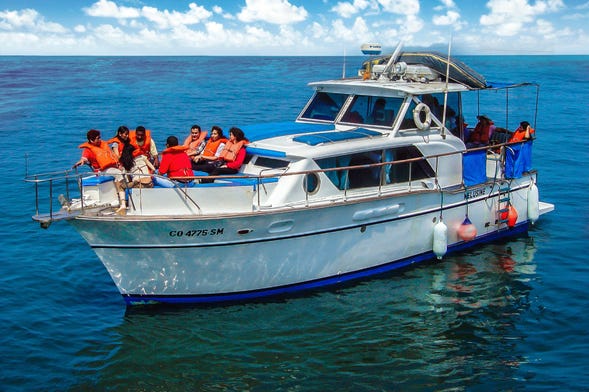 Paseo en barco por las Islas Palomino