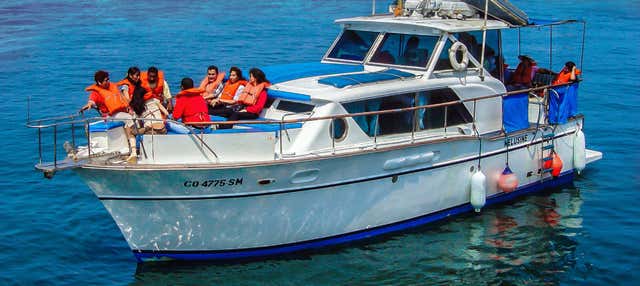 Paseo en barco por las Islas Palomino