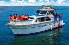 Passeio de barco pelas Ilhas Palomino