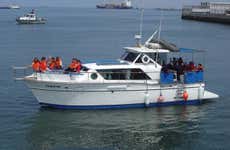 Private Boat Trip from Callao