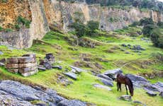 Excursión a la Fortaleza de Kuélap
