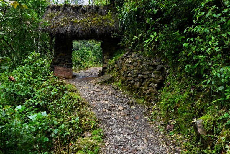 Sendero hacia la catarata Yumbilla