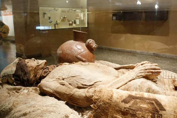Excursión privada al Museo Arqueológico Brüning
