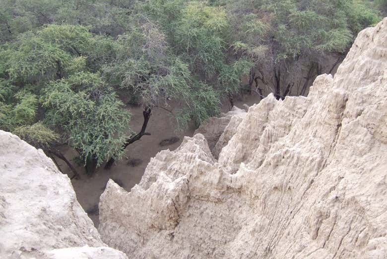 View of the Huaca del Oro from above