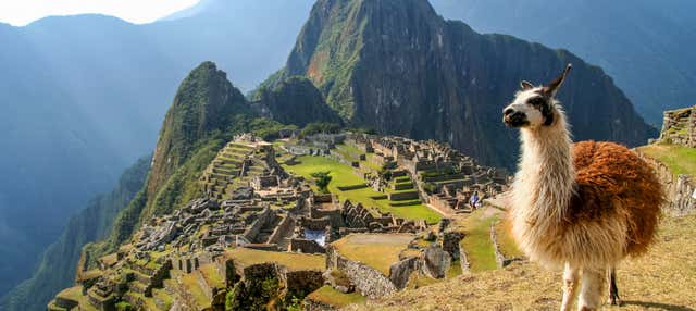 Excursión a Machu Picchu
