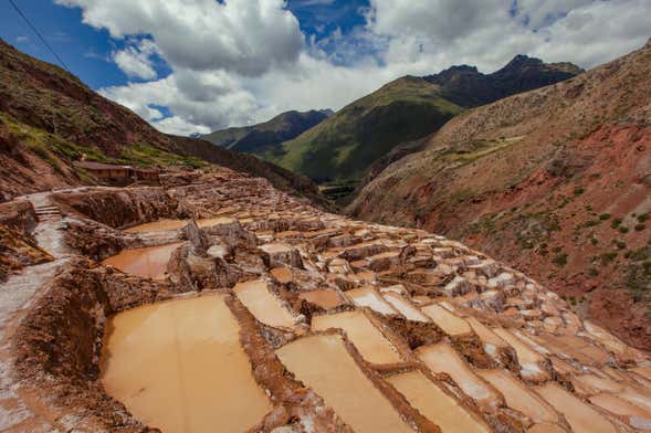 Moray Ruins & Maras Salt Mines Tour