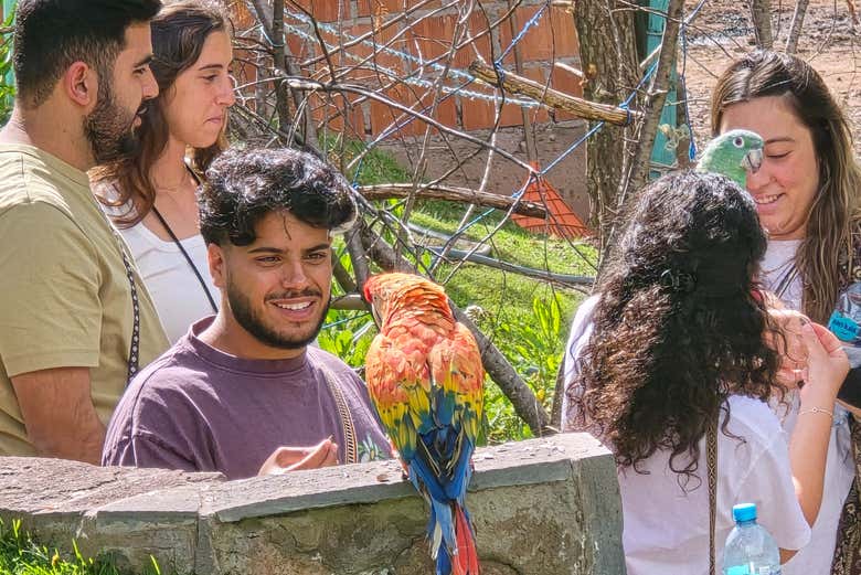 Conociendo a las aves exóticas de Cochahuasi