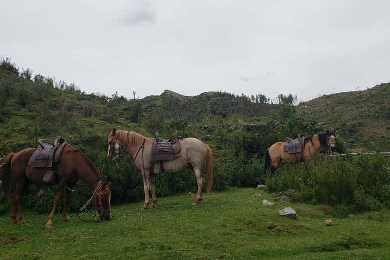 Faremos paradas para descansar