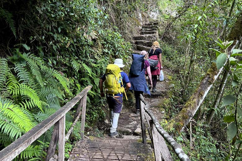 Hike through lush vegetation