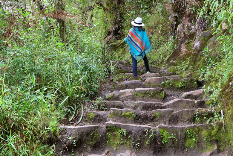 Huayna Picchu