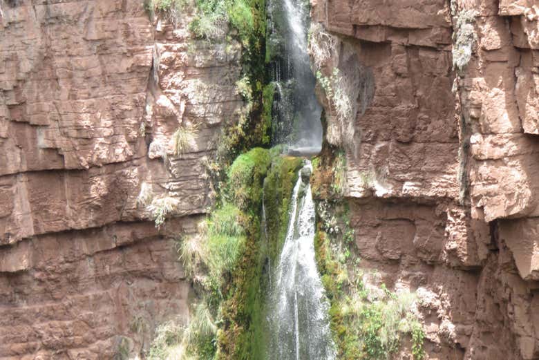 Don't forget to take photos!