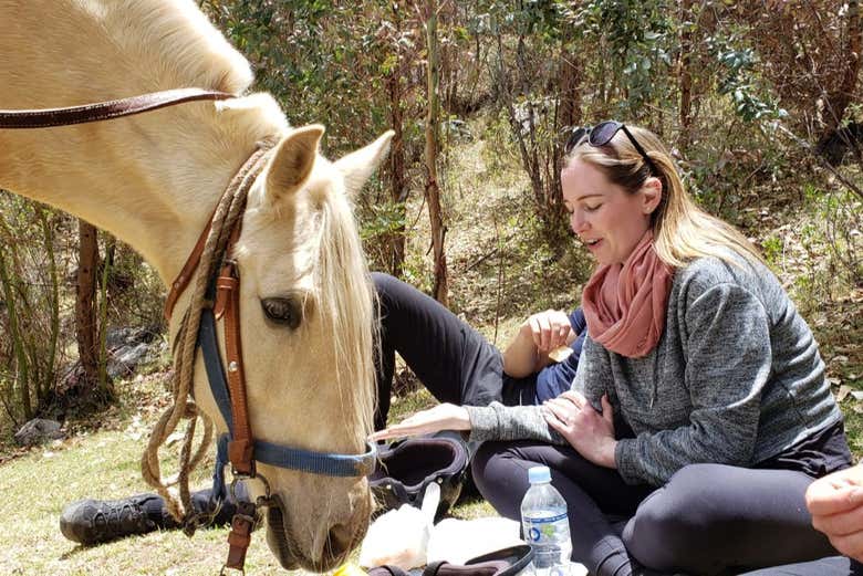 Descansando perto dos cavalos