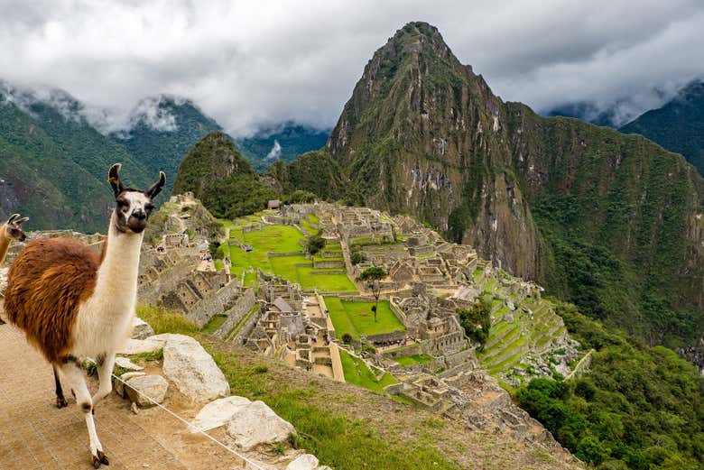 Rovine inca di Machu Picchu