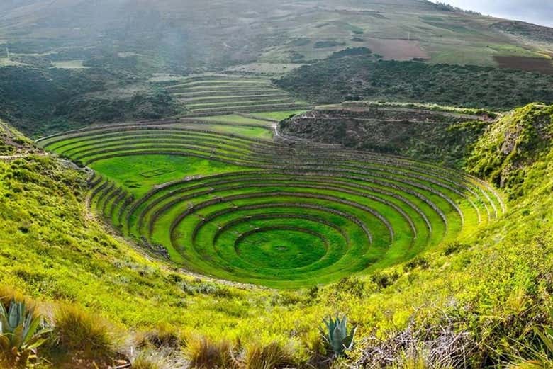 Anillos de Moray