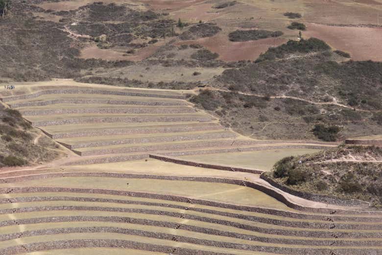 Inca terraces