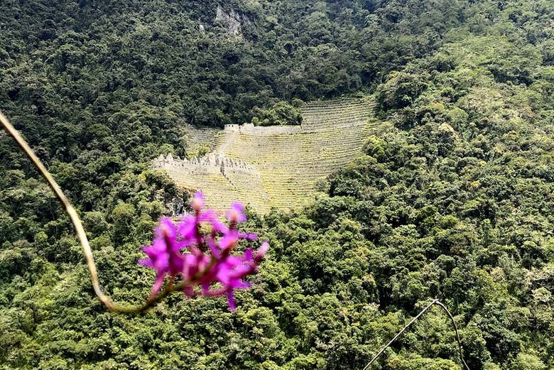 Be captivated by the views