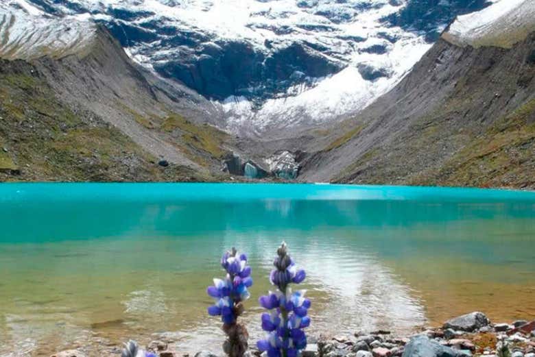 Panorámica de la Laguna Humantay