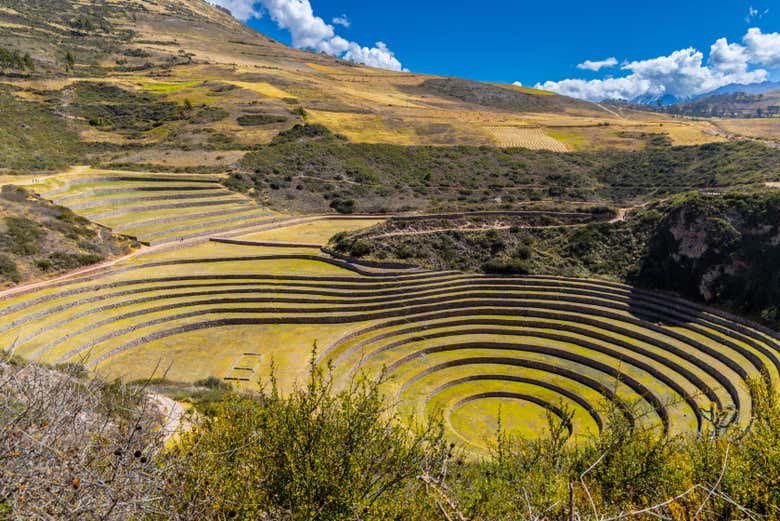 Os impressionantes terraços de experimentação agrícola de Moray