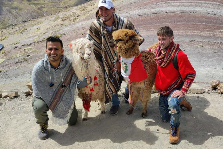 Palcoyo and  the peruvian Alpaca
