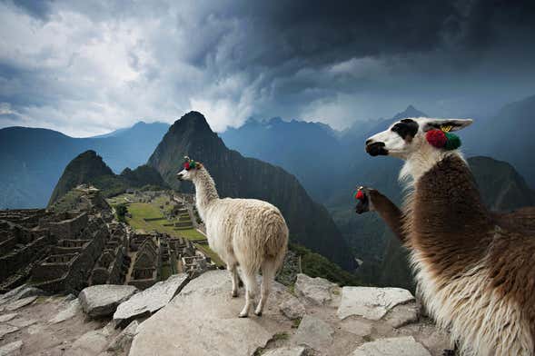 Selva de Machu Picchu y Valle Sagrado en 4 días