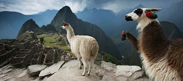 Selva de Machu Picchu y Valle Sagrado en 4 días