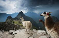 Selva de Machu Picchu y Valle Sagrado en 4 días