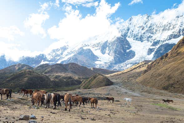 Ruta de 5 días por el Camino de Salkantay