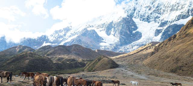 Ruta de 5 días por el Camino de Salkantay