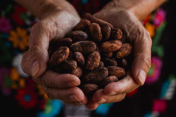 Private Cusco Cocoa Farm Tour