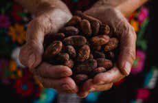 Visite privée sur le thème du cacao à Huayopata