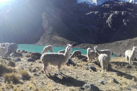 Make friends with the locals during your trip