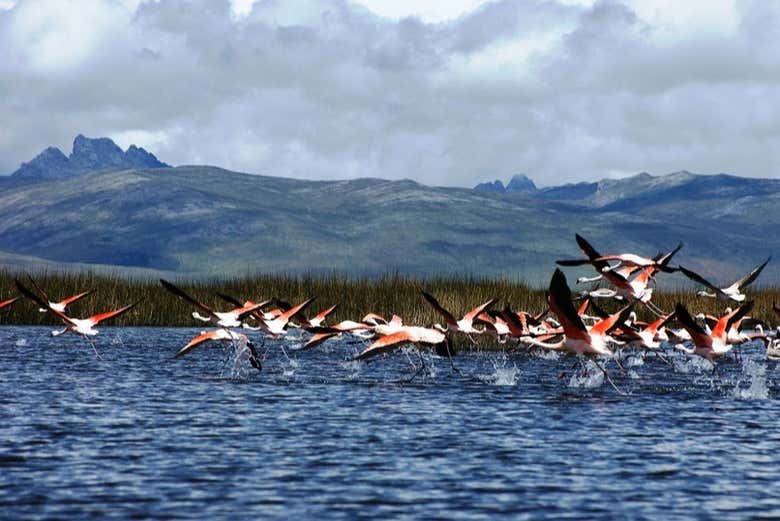 Lago Junín, o segundo maior lago do Peru